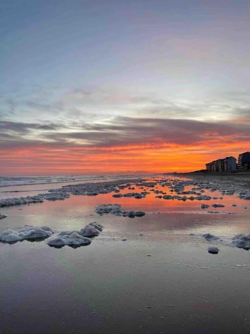 Face A La Mer, Appartement Rdc Bray Dunes المظهر الخارجي الصورة