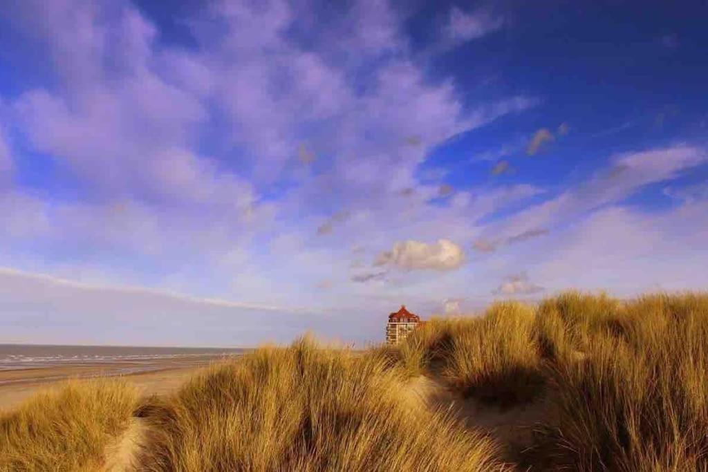 Face A La Mer, Appartement Rdc Bray Dunes المظهر الخارجي الصورة