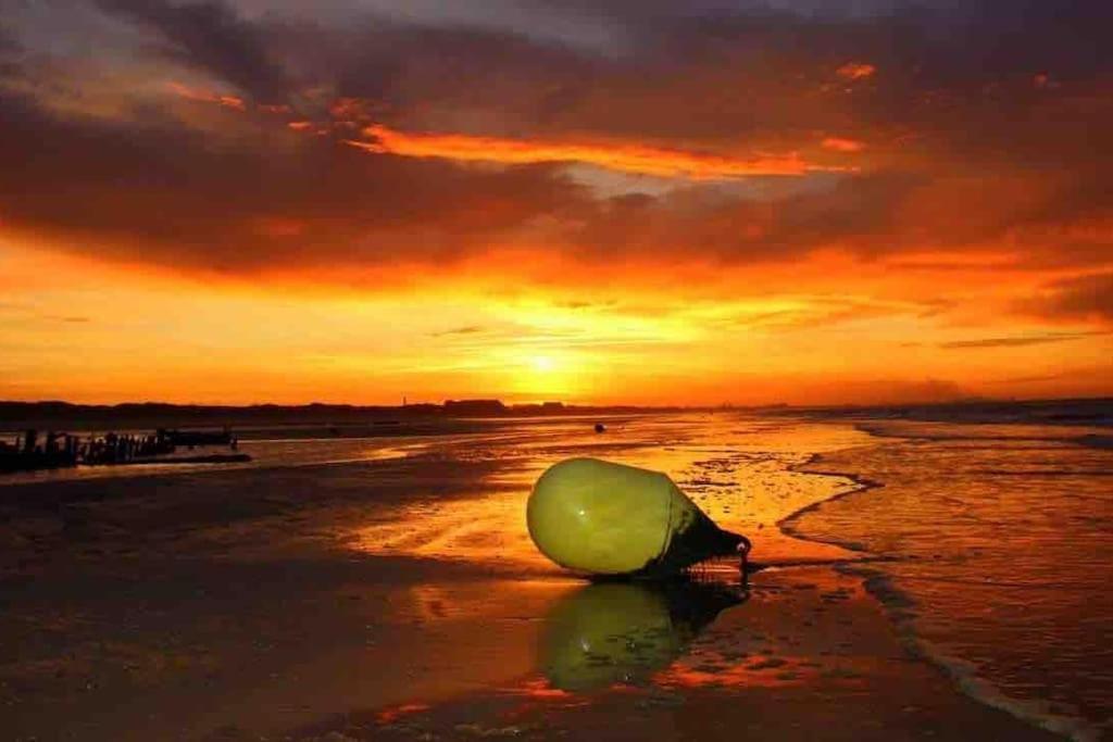 Face A La Mer, Appartement Rdc Bray Dunes المظهر الخارجي الصورة